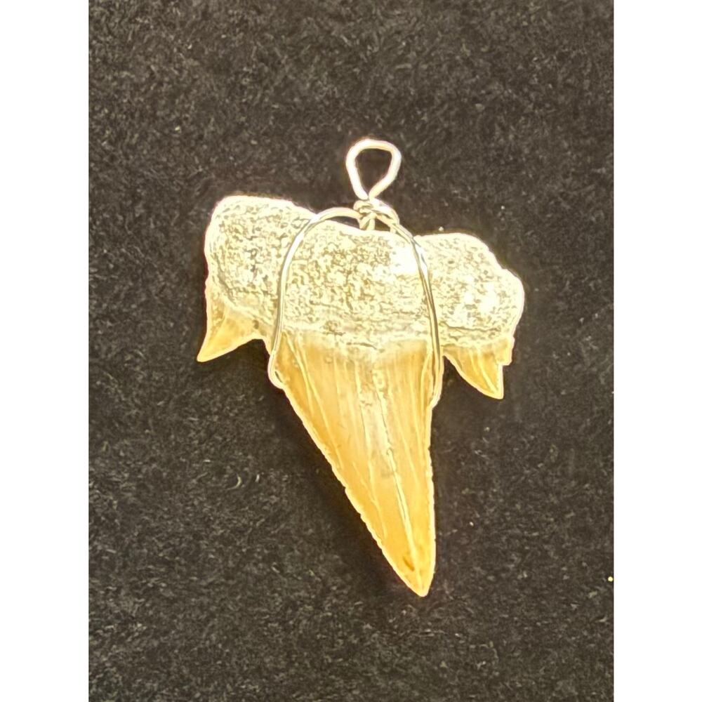 Fossilized Shark Tooth Pendant with silver tone wire wrap 1.25” New